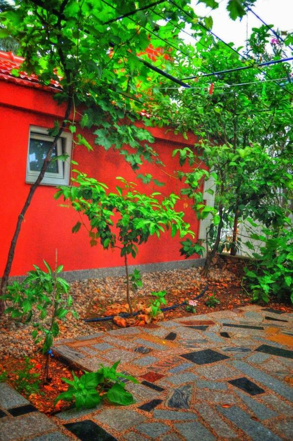 Apartments Mira ロゴズニッツァ エクステリア 写真